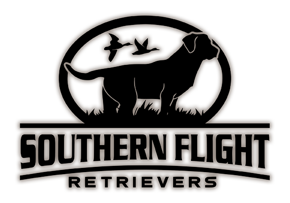 Southern Flight Retrievers
