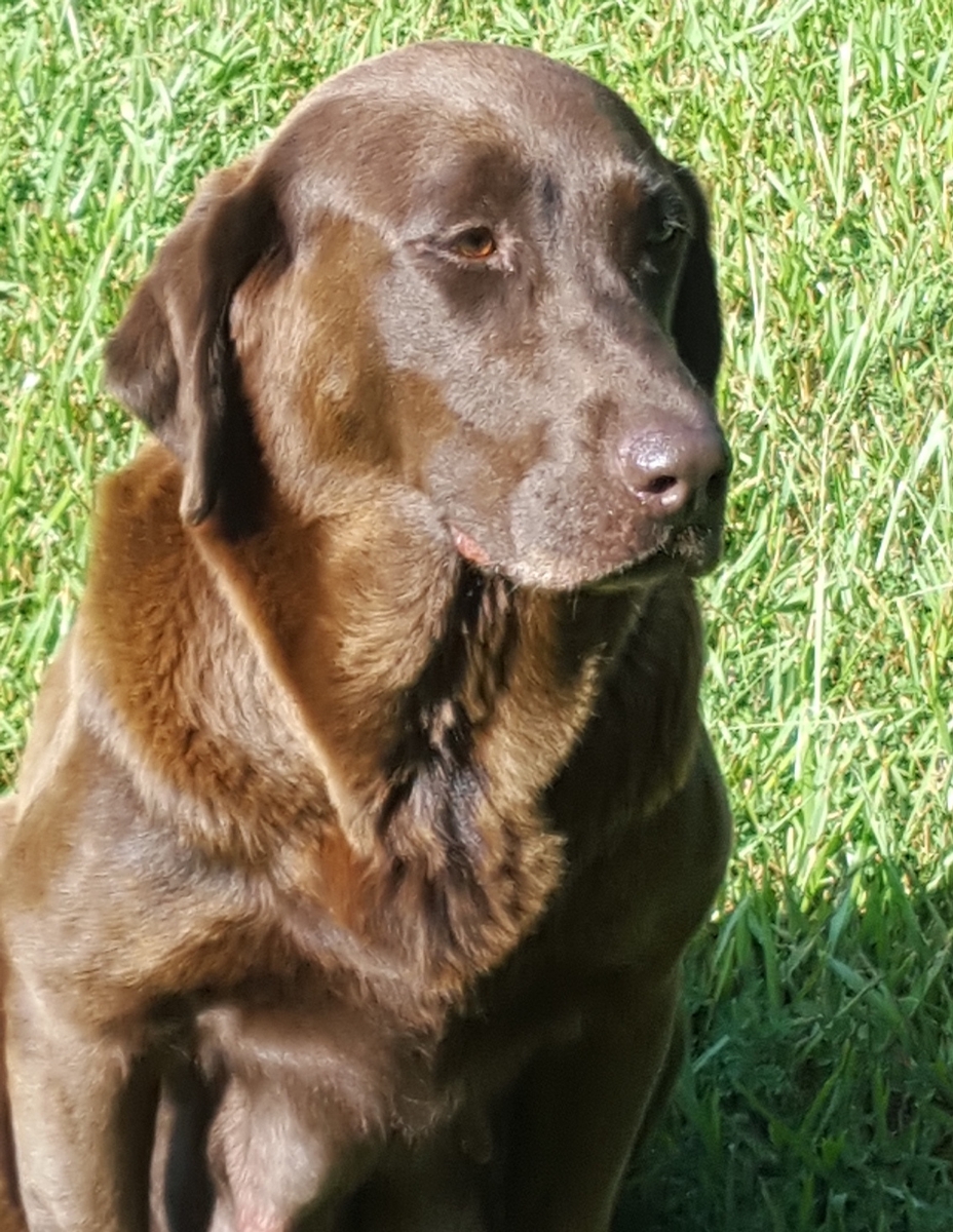 Yocona Bottoms Laid Back Lucy