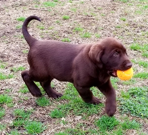 Bad Bad Leroy Brown & Laid Back Lucy