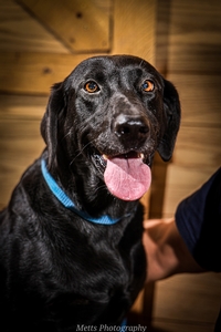 Southern Flight's Party Girl Mally 