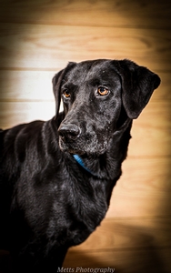 Southern Flight's Party Girl Mally 