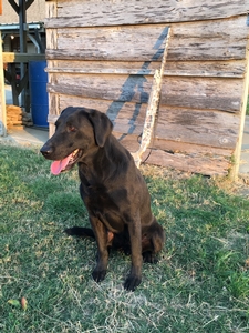 5XGRHRCH UH Field Of Dreams Ollie MH MNH