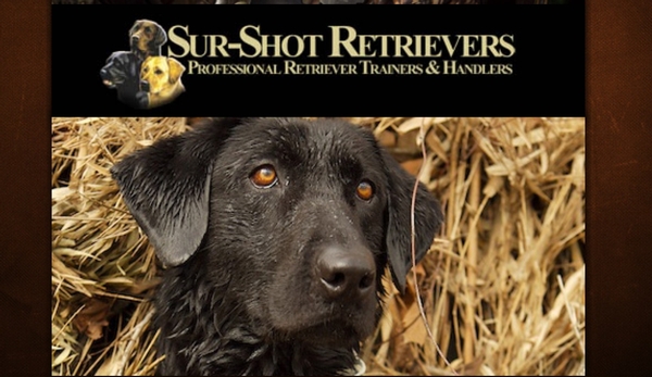 Sur Shot Retrievers 