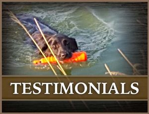 Testimonials